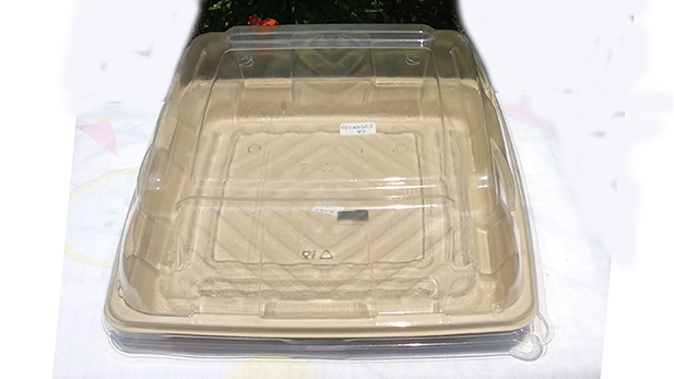 Biodegradable breakfast platters