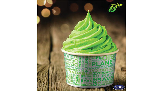 Custom Printed Biodegradable Ice Cream Cups