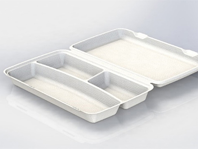 Sugarcane starters from 100% cellulose