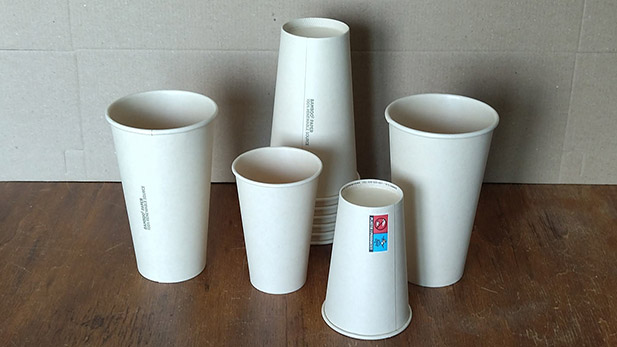 bamboo cups 8.25 and 16 oz