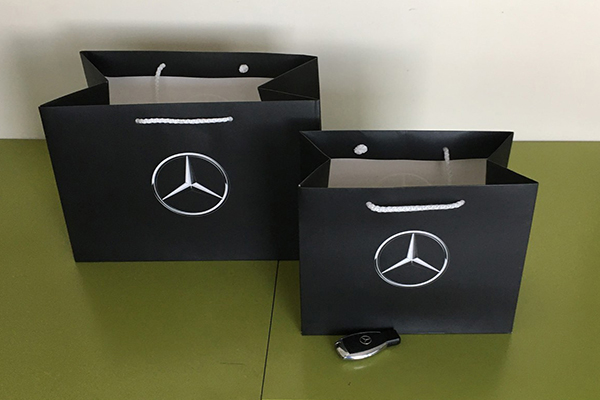 Branded Luxury laminated paper bags