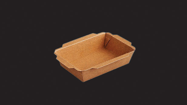 Kraft cardboard delivery containers