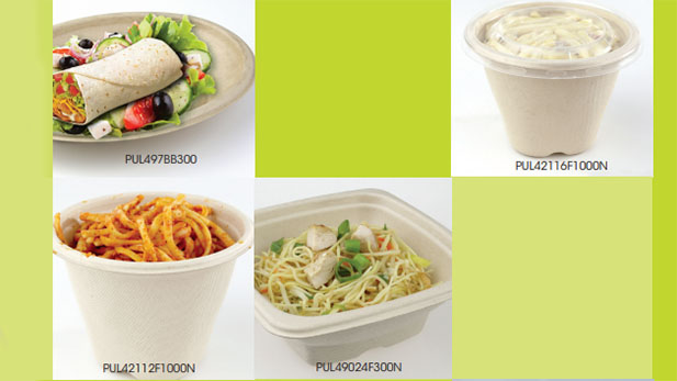 Hot2Go Biodegradablecontainers for hot food, for oven and microwave together with the lid