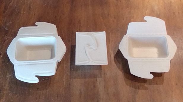 Biodegradable Cellulose  fast food and catering containers