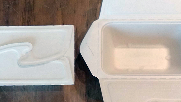  100% Biodegradable Cellulose  delivery and catering containers
