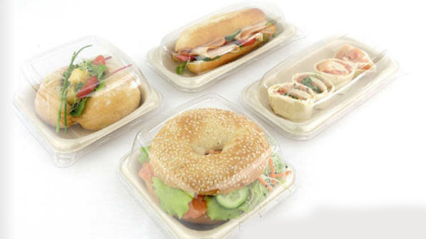 Biodegradable and Compostable Sugarcane food boxes