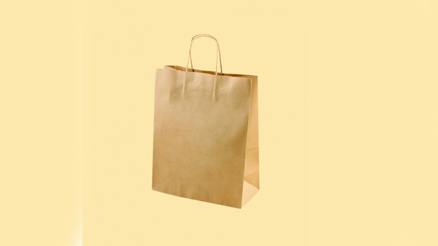 Disposable kraft bags with flat or twisted handle