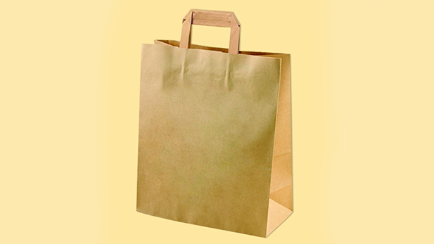 Disposable kraft bags with flat or twisted handle