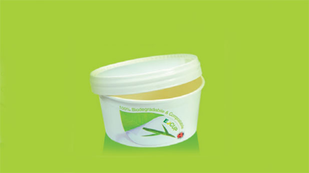 Biodegradable Certified ice cream containers - baskets 