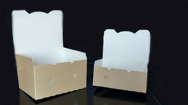 Χάρτινα κουτιά για τηγανητά και φτερούγες