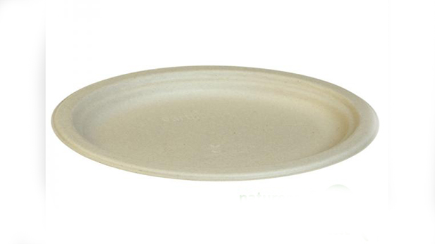 Oval compostable and biodegradable sugarcane plate