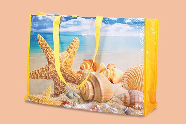 Branded Non Woven luxury polypropylene bags with lamination