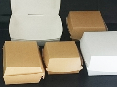 Burger boxes - cardboard containers