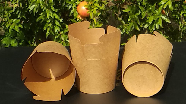 Cardboard Take Away Noodle - Pasta Containers