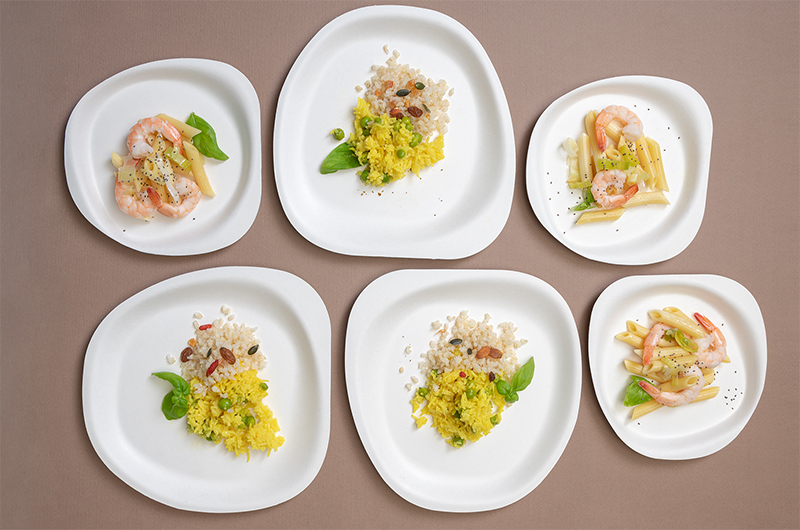 Биоразградими чинии за еднократна употреба