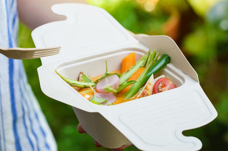 biodegradable food boxes