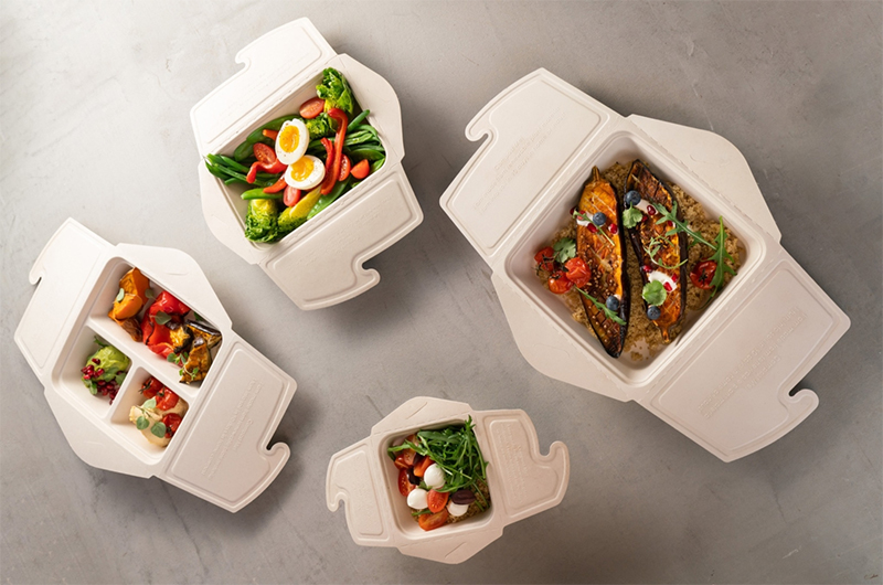 biodegradable food bowls