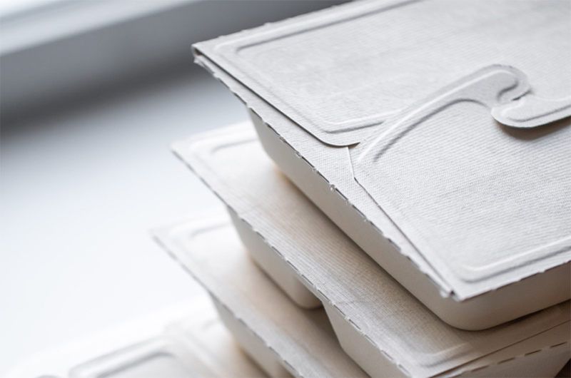 biodegradable food containers