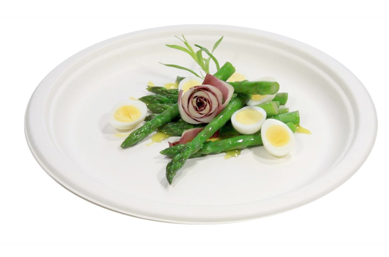 PULP biodegradable round, square and oval plates