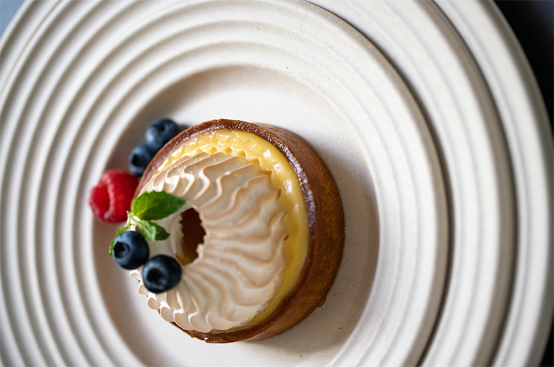 PULP biodegradable round, square and oval plates