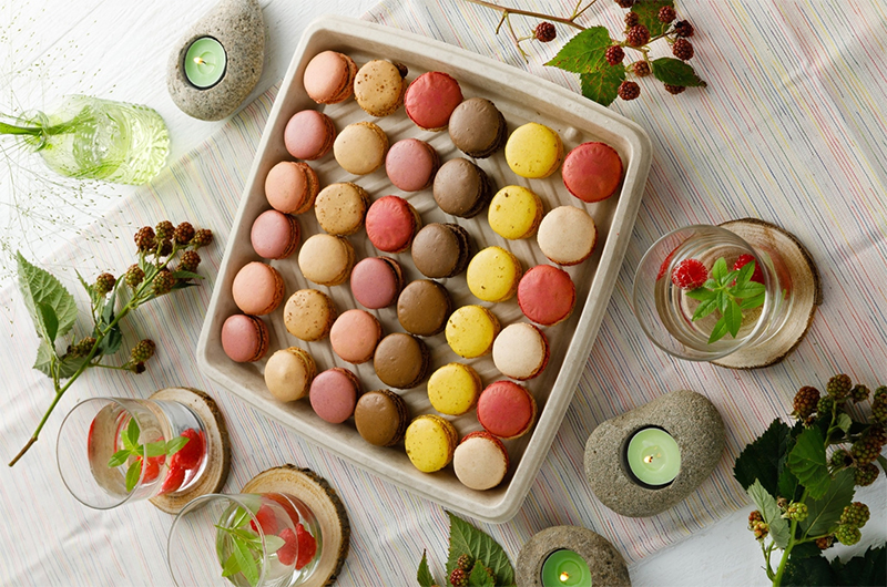 PULP biodegradable food transport platters