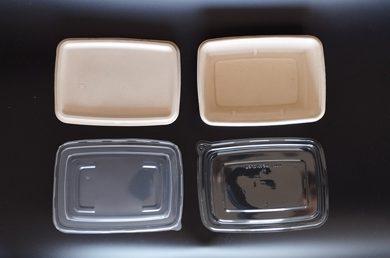 Biodegradable rectangular sugarcane bowls