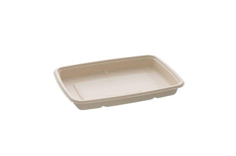 Biodegradable rectangular sugarcane boxes