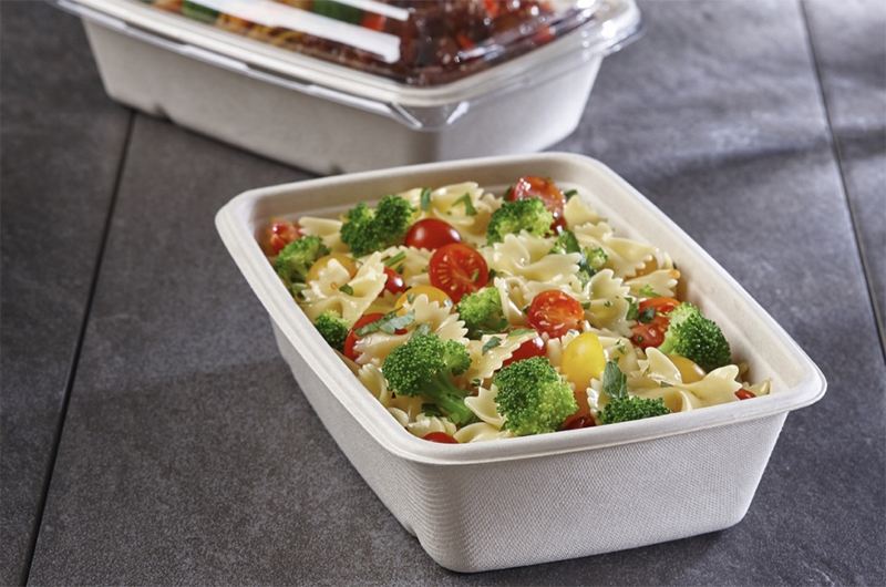 Biodegradable rectangular food bowls
