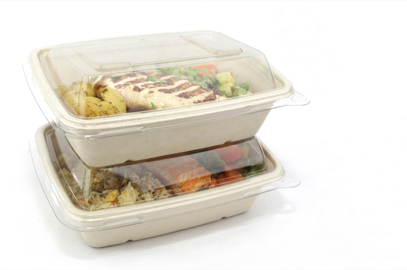 Biodegradable rectangular food bowls