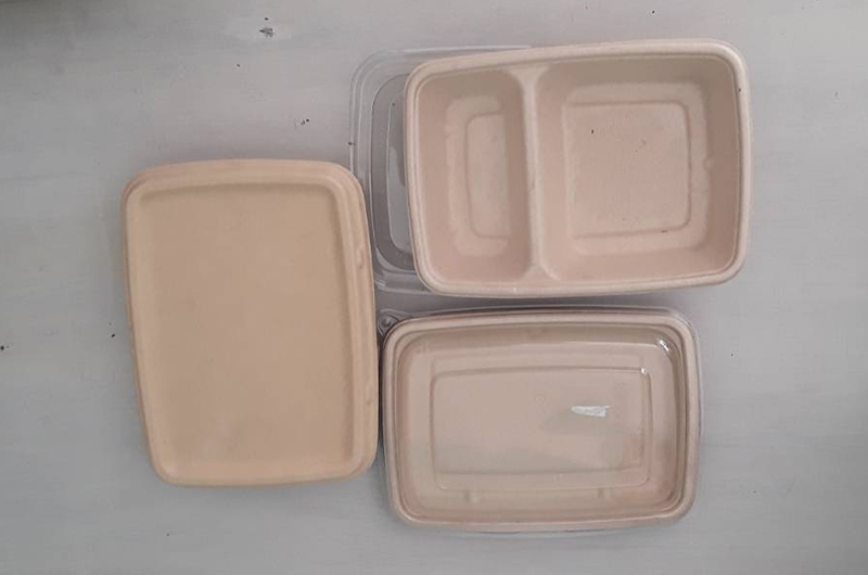 Biodegradable rectangular sugarcane containers