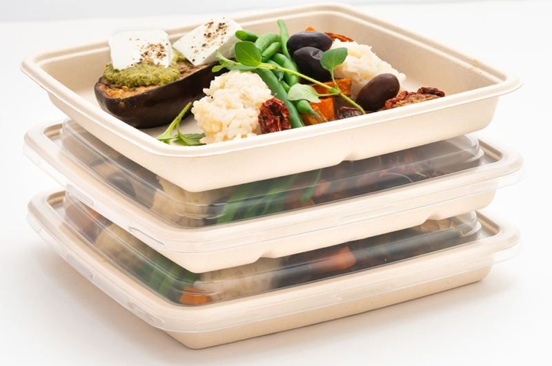 Square biodegradable food containers