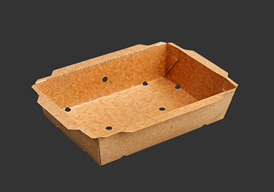 Cardboard meal TUK TUK & PETRA printed boxes