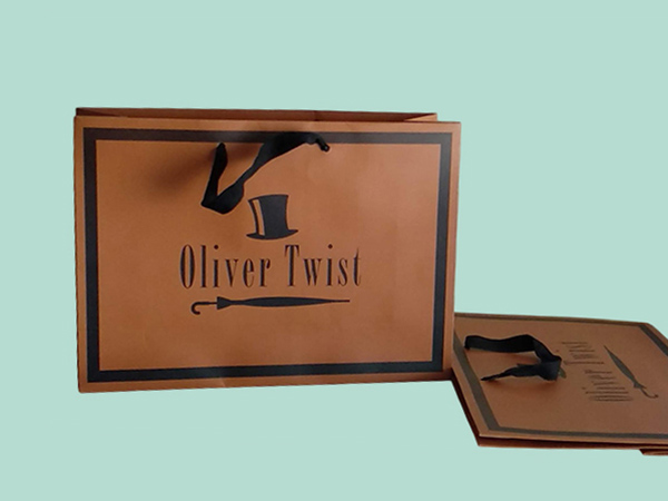 Luxury branded paper bags with cord and ribbon handles