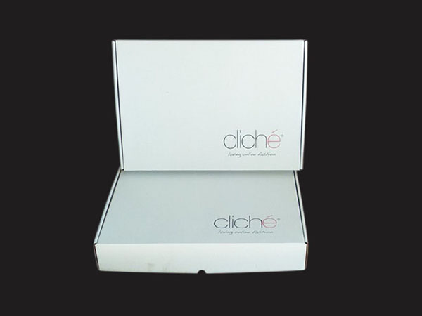 Cardboard boxes with integrated lid for storing and shipping clothes