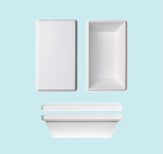 EPS clasic transport boxes for ice cream