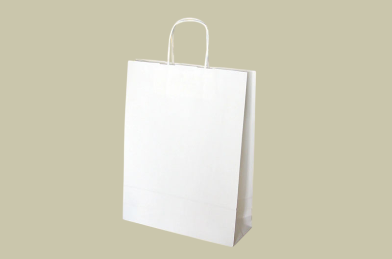 Available kraft shopping bags with twist and flat handles