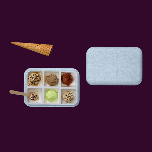 Recyclable ice cream containers PASQUALINA, 6 and 12 places