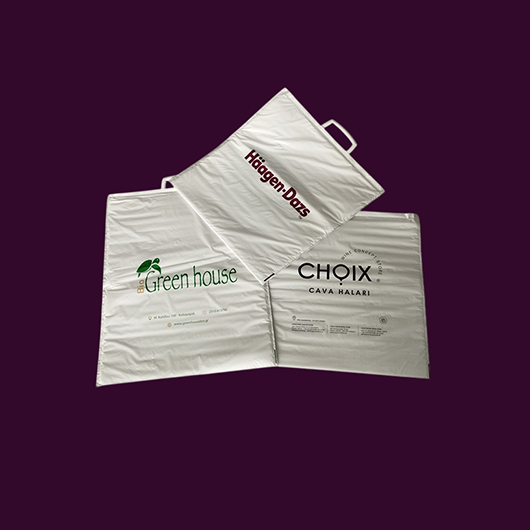 Branded insulated Bags