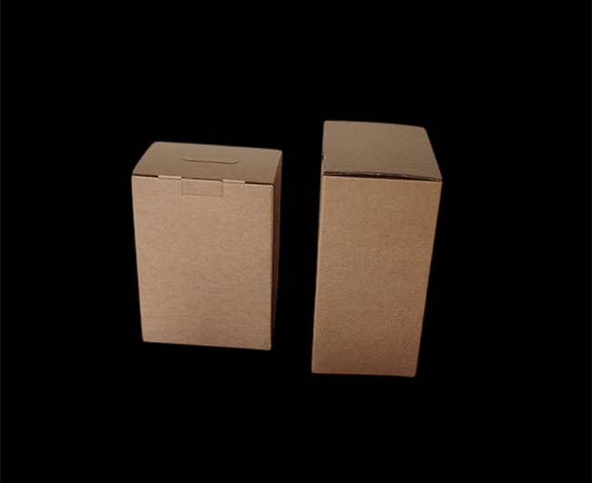 Disposable kraft Bag-in-Boxes (BiB)